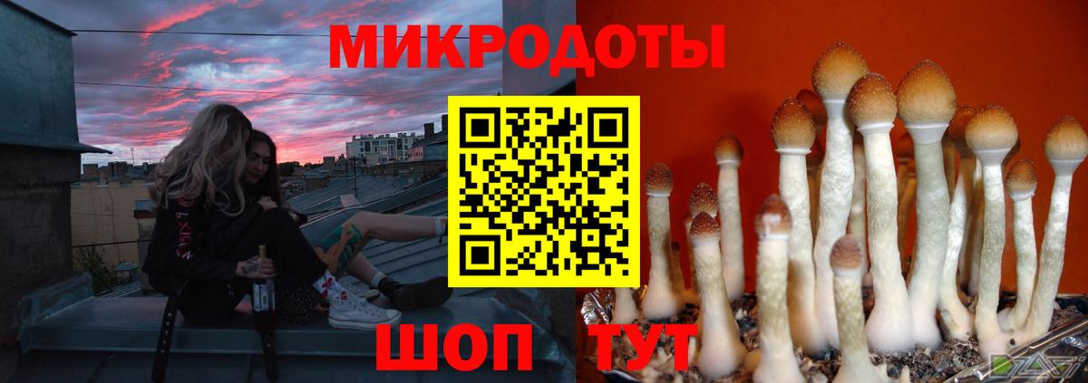 Псилоцибиновые грибы ЛСД  Вход с VPN  Звенигород  Галлюциногенные грибы Magic Shrooms 